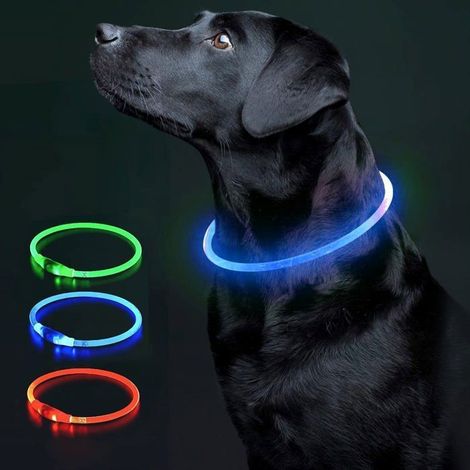Filiyano-Collier LED étanche pour chien avec lumière réfléchissante, collier lumineux LED pour chien (50 cm), bleu (1/5)