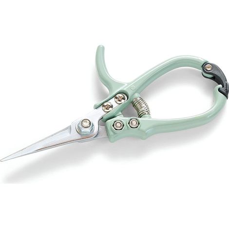 Sécateur, ciseaux de jardin, coupe-branches, outil de taille pour fleurs et vignes, sécateur durable (1/2)