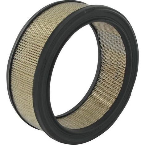 Filtre À Air - Référence P530639 - Pour Moteur Thermique - 1 Pièce