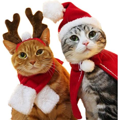 4 pièces tenue de Nol pour chiens noeud papillon, joli costume pour chats et chiots (1/5)