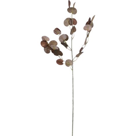 Mica Decorations Kunstpflanze Eukalyptuszweig 73 cm braun Ast, Stängel & Zweig
