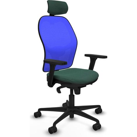 Piqueras y Crespo 3D036N2 Bequeme Bürostuhl in Grün (1/3)