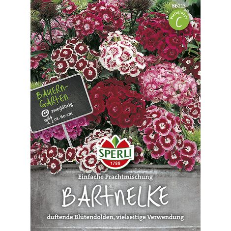Sperli Bartnelken Einfache Prachtmischung - Blumensamen (1/2)