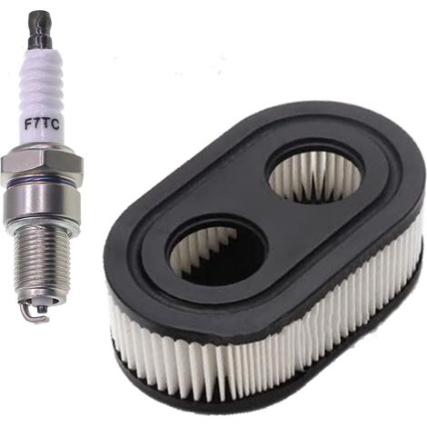 Filtre à air & Bougies d’allumage pour Moteurs Briggs & Stratton 550E 550EX Série Eco-Plus 575EX remplace Le 798339 798452 593260 093000er 09P0000 Moteur 4247 5432 5432K (1/5)