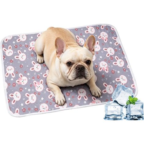 Kühlpad für Hunde Atmungsaktives Komfortables Rutschfestes Bett -Kühlpad-Käfigmatte Für Kätzchen und Welpen kleine & mittlere Größen Zuhause Sofa Fußboden Kiste Sommer Reisen Camping (1/5)