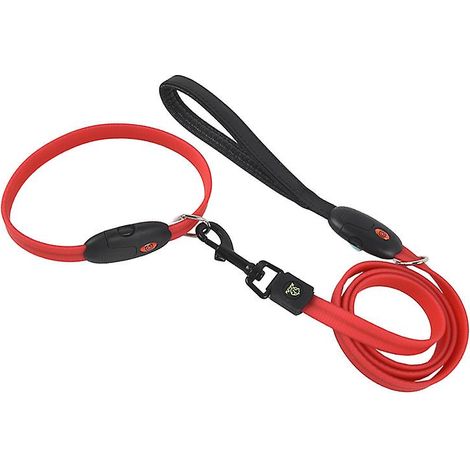 Ensemble laisse et collier électroluminescent LED rechargeable par USB pour promener son chien (rouge) (1/4)