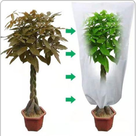 Lot de 2 housses de protection pour plantes Mangifera (240 x 220 cm), idéales pour les plantes d'extérieur. Tissu épais et résistant, avec fermeture éclair et cordon de serrage. Convient aux pots de f (1/3)