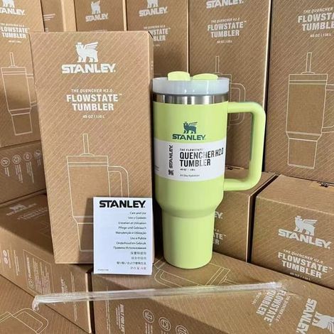 Grande tasse isotherme de 1,2 litre en acier inoxydable avec anse et paille pour boire automatiquement. Vert clair BT