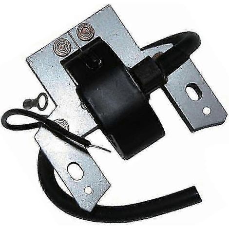 Module de bobine d'allumage pour moteurs 5 CV sans démarrage électrique 130200 130900 131200 131400 et 131900 et éditions 10 et 13 CV (1/4)