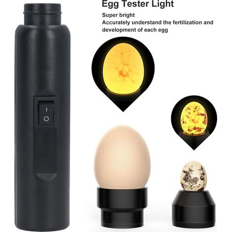 Miroir à œufs USB Rechargeable LED Puissante Embouts Souples Adaptables Surveillance Développement Idéal École Maison (1/4)