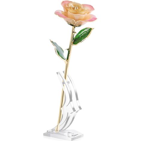 Rose véritable Ejoyous plaquée or 24 carats, avec base en rose, de couleur rose et crème. (1/3)