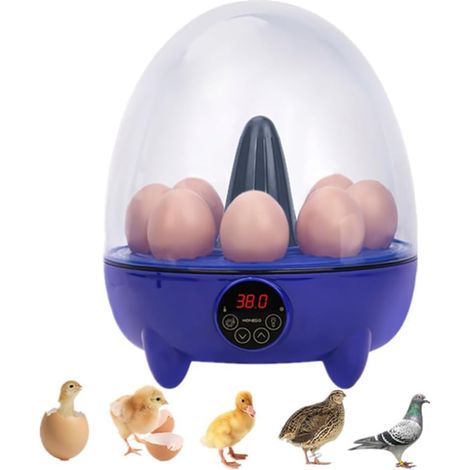 Incubateurs, incubateur de volaille 8 œufs avec contrôle de l'humidité et de la température, mini incubateur automatique pour poussins, cailles, canards, oies, oiseaux et dindes (1/4)