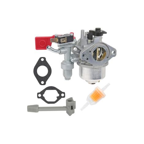 Carburateur 799060 compatible Vanguard Engine – Remplacement 84004885, moteur robuste, fiabilité garantie (1/5)