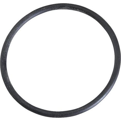 Joint torique pour bride convient pour Nova 82X Ref. 0.925.054