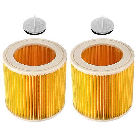 Lot de 2 filtres à cartouche pour aspirateur Karcher WD3 Premium WD2 WD3 WD1 MV3 MV2 WD 3 P Extension K (2 pièces)