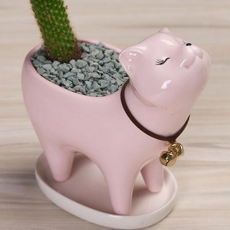 Mini-Keramiktöpfe für Sukkulenten, mit Abflussloch, für Kakteen und Sukkulenten, Dekorationsset für Zuhause und Büro. (1/5)