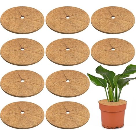 Lot de 10 Anneaux Paillage Coco 30 cm – Protection Plantes Jardin (1/5)