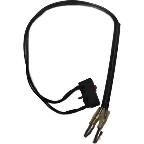 Interruptor Seguridad compatible conEvb 260  Ref 918687