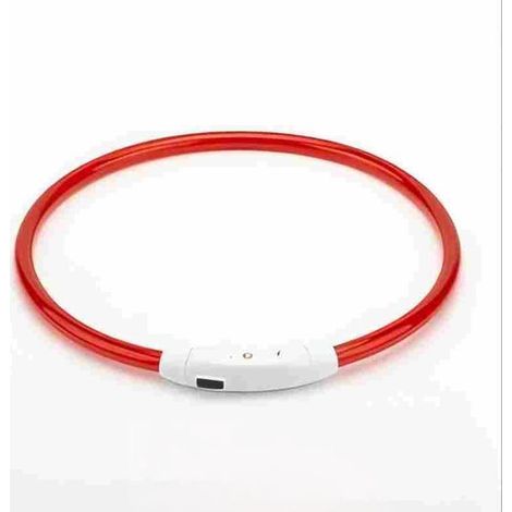 Leuchtendes LED-Hundehalsband – Das Halsband kann über USB aufgeladen werden – Separat kürzbar – M – Orange (1/5)