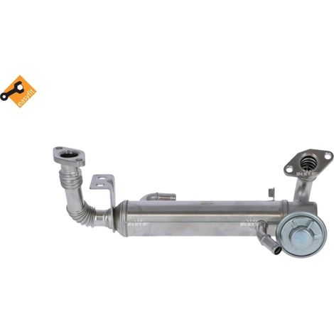 Radiateur, réaspiration des gaz d'échappement NRF 48217 FIAT 504178568