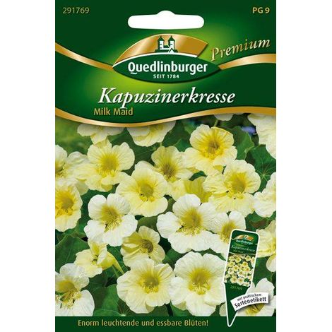 Quedlinburger Kapuzinerkresse Milk Maid - Blumensamen
