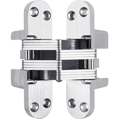 paumelles de porte Charnières invisibles en inox, 1 pièce (1/5)