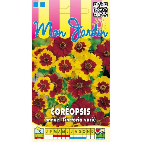 Coreopsis annuel Tinctoria varié - 2g