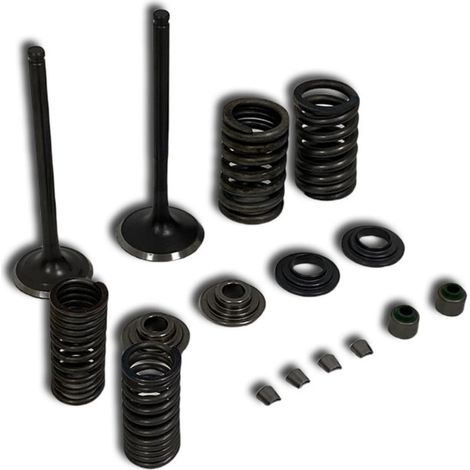 Valves de moteur robustes pour vélos CBF150 XR150 KTT150 SDH150 - Construction à usure réduite avec amélioration de la résistance à la chaleur - Vannes de moteur de rechange à ajustement (1/4)
