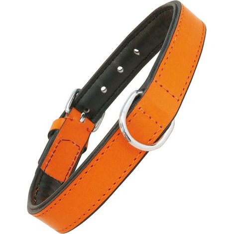 Collare per Cani Gloria Trapunta Arancio (55 x 2,5 cm) (1/5)