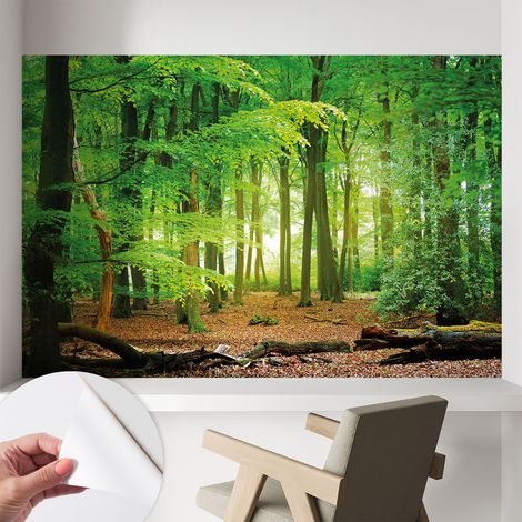 Carta da parati autoadesiva - fotomurale - decorazione parete - murale - adesivo da muro - Foresta verde 104x70 cm (1/5)