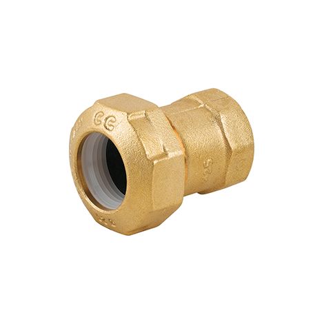 Raccordo femmina in ottone per tubo pe 1/2" x 20CAVAL