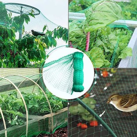 Filet de Protection - Jardin - 2Pz - 4 x 10m - Vert - Anti-Oiseaux - Polyéthylène (1/4)