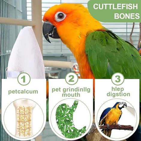 Cuttlefish Bones Cuttlefish Chew Toys Bird Parrot Toy for Birds (1/4)