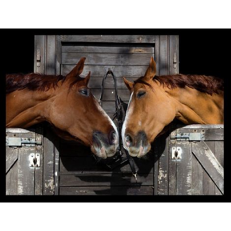 TAPIS VELVET DEUX CHEVEAUX 45X75 MERCURY A5160-1
