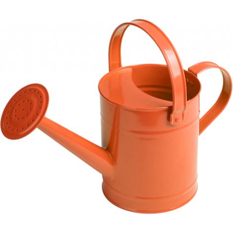 Arrosoir pour enfant en métal - L 13,7 x l 30,5 x H 17,3 cm - Coloris aléatoire - Livraison gratuite