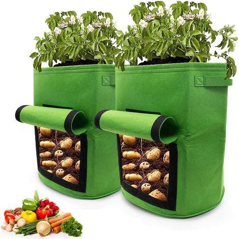 QAZQA 2 Sacs de Culture de Pommes de Terre, 4 Gallon Sac de Plantation Jardin Tissu Non tissé avec Poignées Fenêtre Sac à Plantes pour Patate Fraise Tomate Fleur Patios Jardin Balcons(Vert)