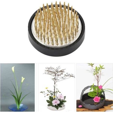 pair Arrangement de fleurs rondes Pin Ikebana Kenzan Décoration florale Outil de classement fixe (Diam. 50mm) (1/4)