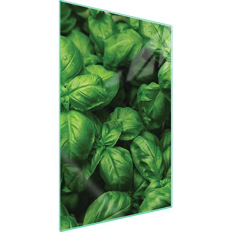 TAGLIERE IN VETRO 35x52 Colore (1/5)