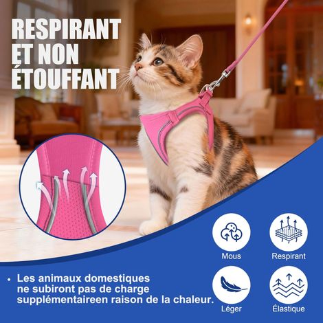 Harnais pour chat avec laisse réglable, ensemble de marche confortable et respirant pour chaton et petit chien, gilet anti-évasion avec bandes réfléchissantes pour sécurité (1/5)