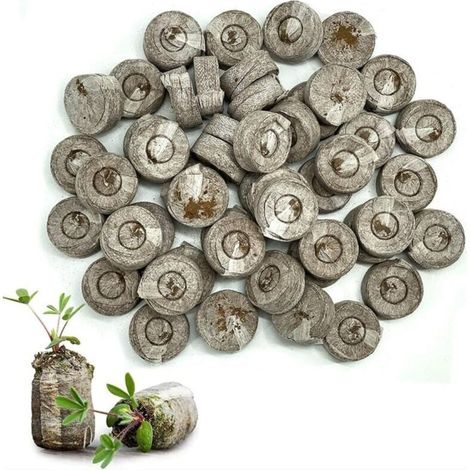 50 Stück Setzlings-Nährstoffblöcke, 33 mm komprimierte Torfpellets, Kokospellets für die Anzucht von Gartenpflanzen (1/4)