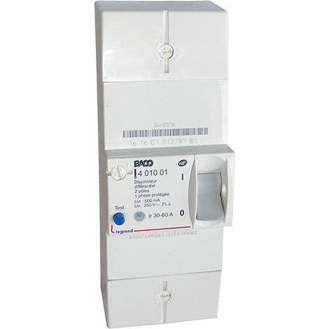 Disjoncteur de branchement BIPO 90A sélectif MICHAUD N465 (1/3)