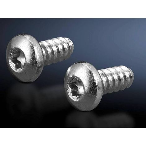 Rittal 2486.600 Tornillo hexagonal acero inoxidable 5,5 mm