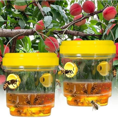 Lot de 2 pièges frelon asiatique – Tap Trap guêpes – Extérieur – Anti-nuisible sélectif (1/4)