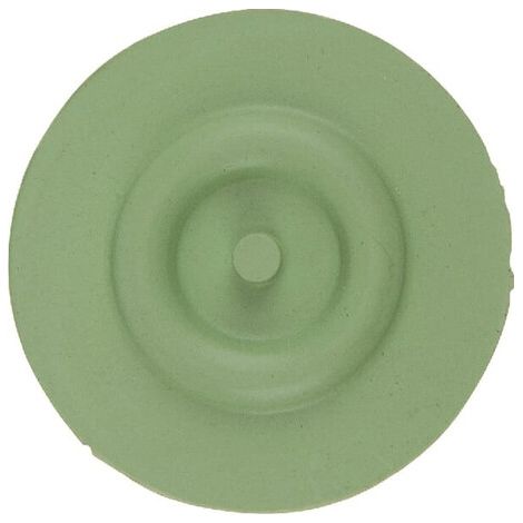 Membran Viton ARAG 4246000220V