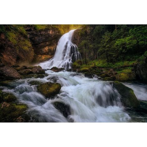Poster Thème Nature Rush - 360 x 270 cm (1/3)
