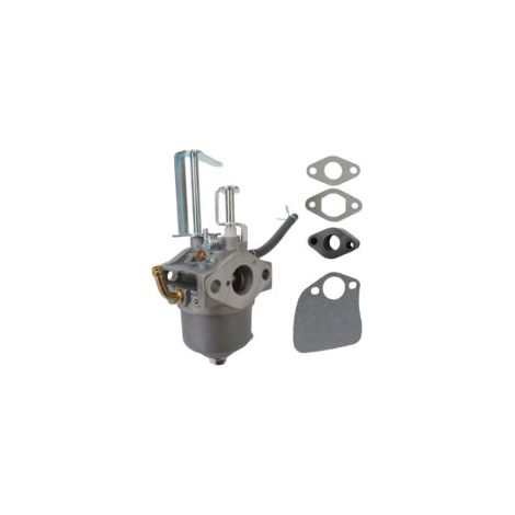 Carburateur pour Toro 119-1977 119-1570 Stens 520-878 120-4427