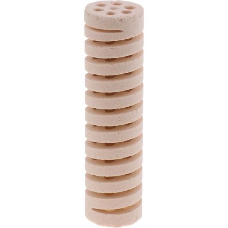 Médias De Filtration Bio Pour Maison De Bactéries, Pour Filtre De Puisard aquarium, étangs De Poissons Koi, Multi-trous (1/5)