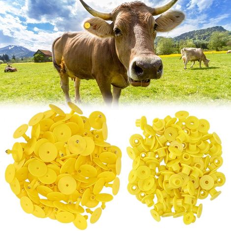 Carte d'identification des Animaux, Oreille de Bétail, Mouton, Porcs, 100 Pièces, étiquette de Marquage en Plastique pour Bétail de Ferme, Porcs, Bovins (Jaune sans Mots (100 (1/5)