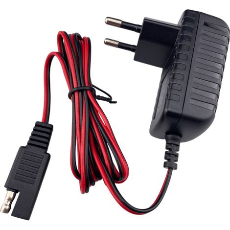 Trade-Shop 12V 0,1A Netzteil / Ladegerät / Ladekabel kompatibel mit Honda, John Deere, Scheppach, Makita, MTD, Sabo, Toro Rasenmäher Starterbatterien (1/2)