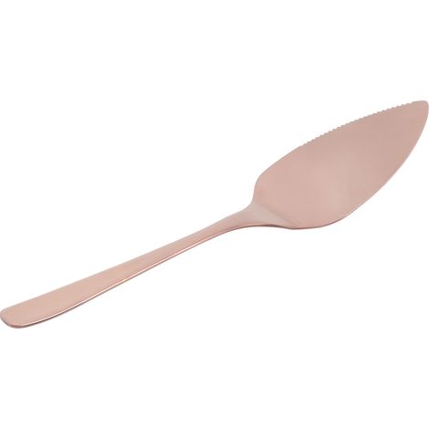 Pelle À Gâteau - Acier Inoxydable Poli Miroir - Bord Dentelé Pour Pizza Et Tarte - Usage Restaurant Et Maison - 1 Pièce (1/5)